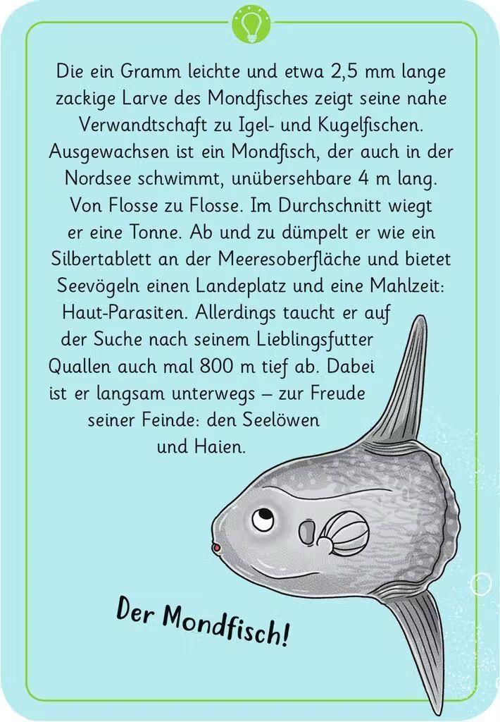 Expedition Natur - 50 wundersame Tierrätsel: Meer und Strand