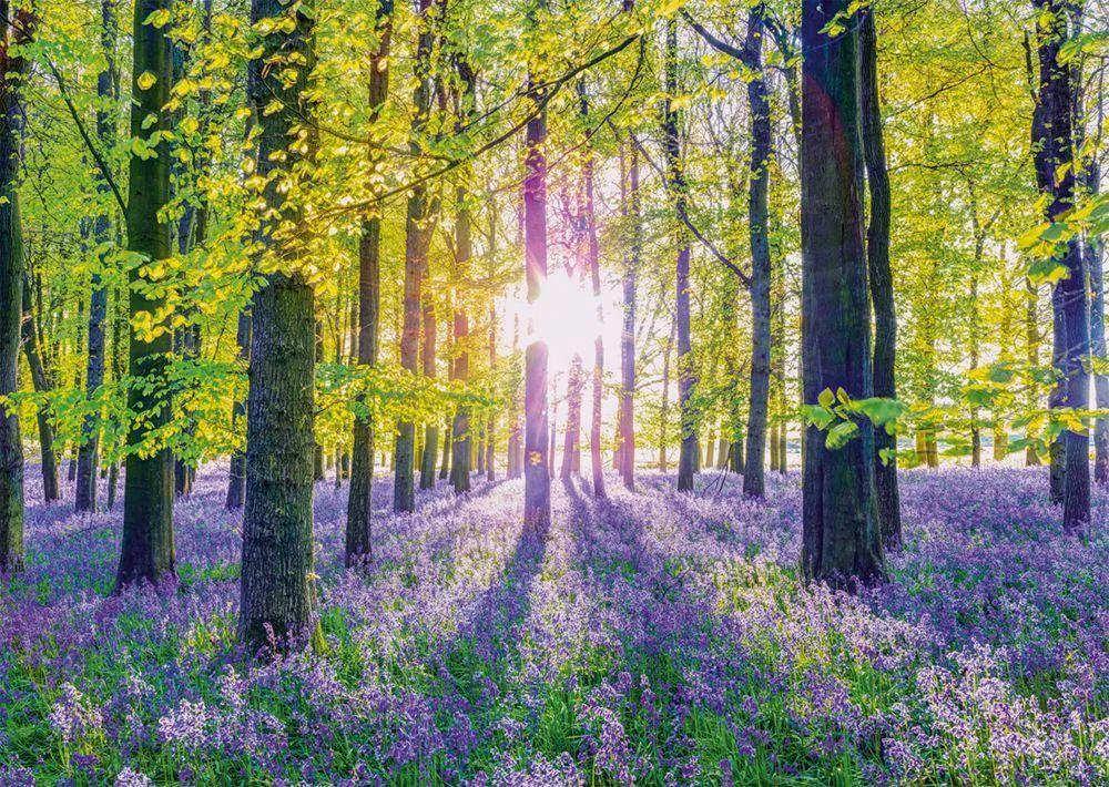 Zarte Glockenblumen im Wald, 1.000 Teile Puzzle Zarte Glockenblumen im Wald, 1.000 Teile Puzzle