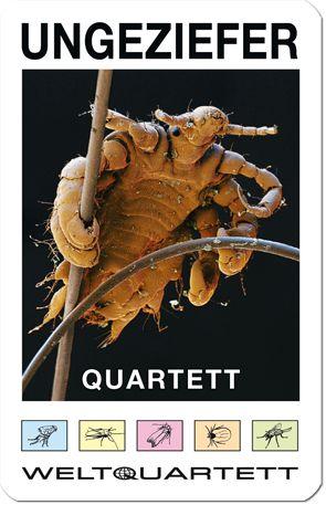 Quartett Ungeziefer