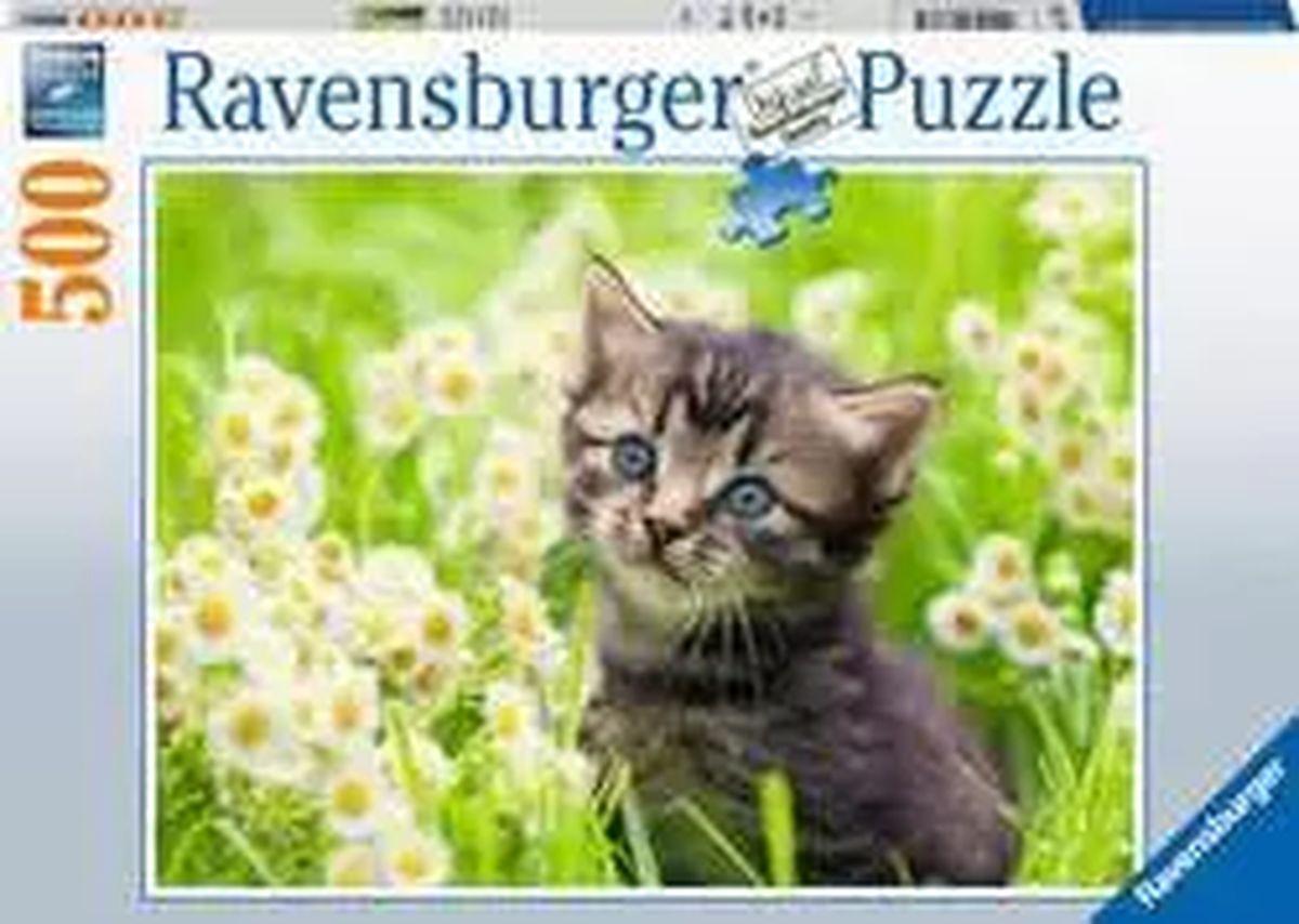 Puzzle: Kätzchen in der Wiese (500 Teile) *B-Ware*