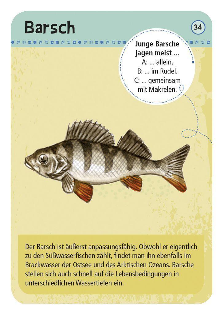 Expedition Natur - 50 heimische Strandtiere & Pflanzen