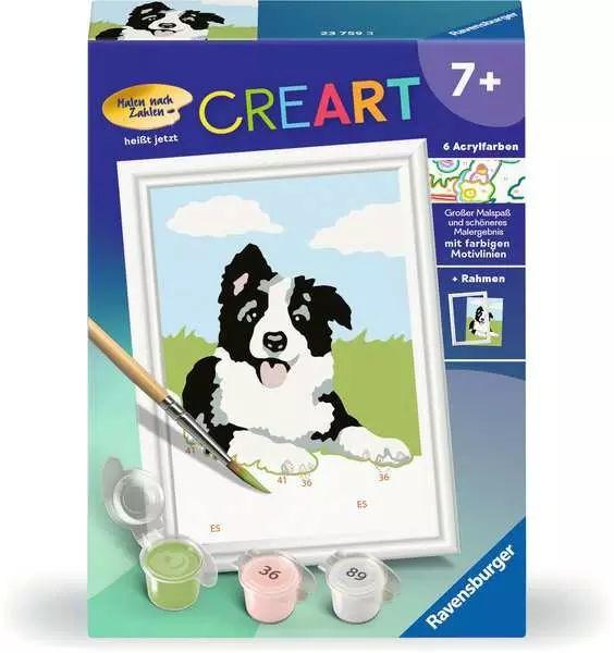 CreArt Border Collie Welpe - Malen nach Zahlen für Kinder