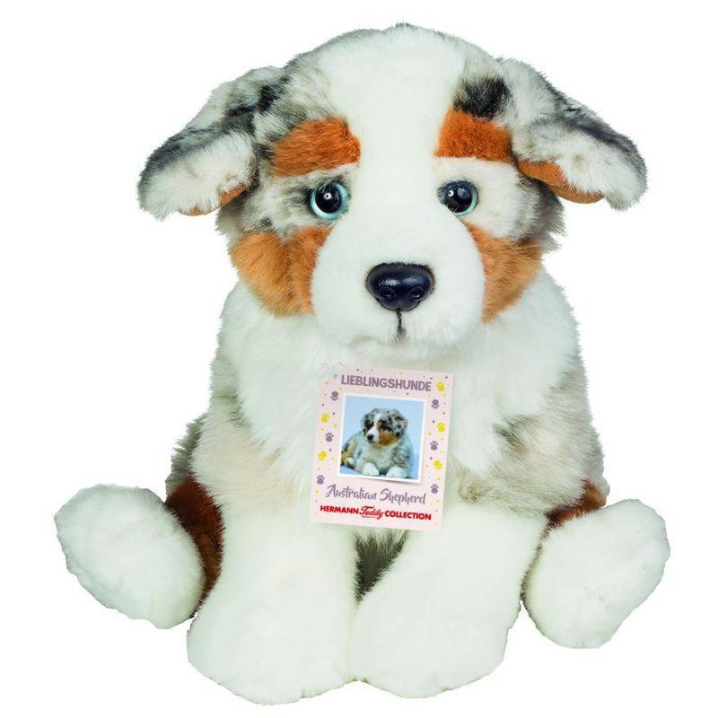 Australian Shepherd Welpe sitzend 22 cm