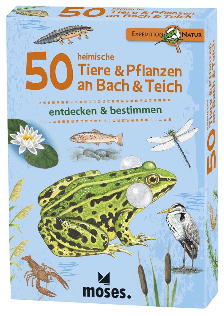 Expedition Natur - 50 heimische Tiere & Pflanzen am Bach & Teich
