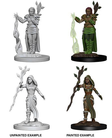 D&D Nolzur's Marvelous Unpainted Minis: Human Female Druid