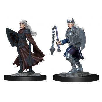 D&D Nolzur's Marvelous Miniatures: Kalashtar Cleric Female D&D Nolzur's Marvelous Miniatures: Kalashtar Cleric Female