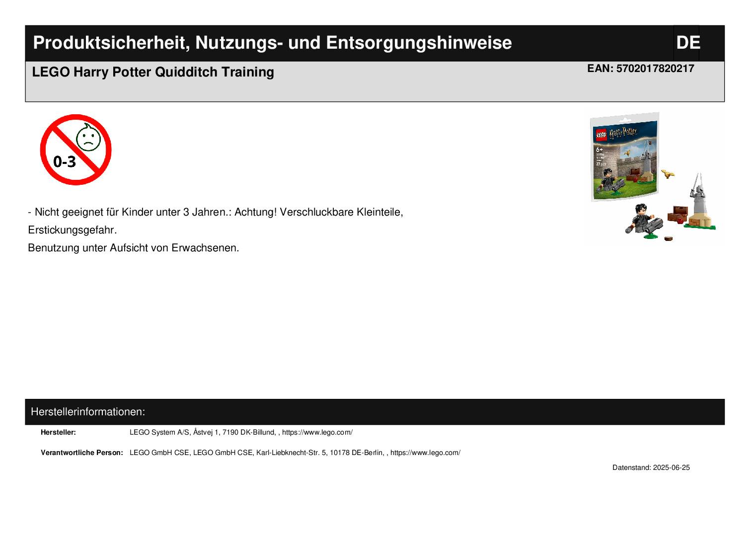 LEGO Harry Potter Quidditch Training