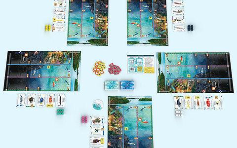 Flossenschlag Flossenschlag