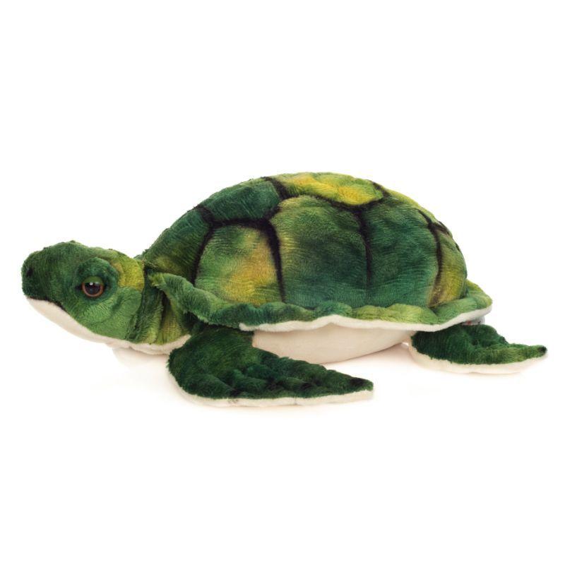 Wasserschildkröte 23 cm
