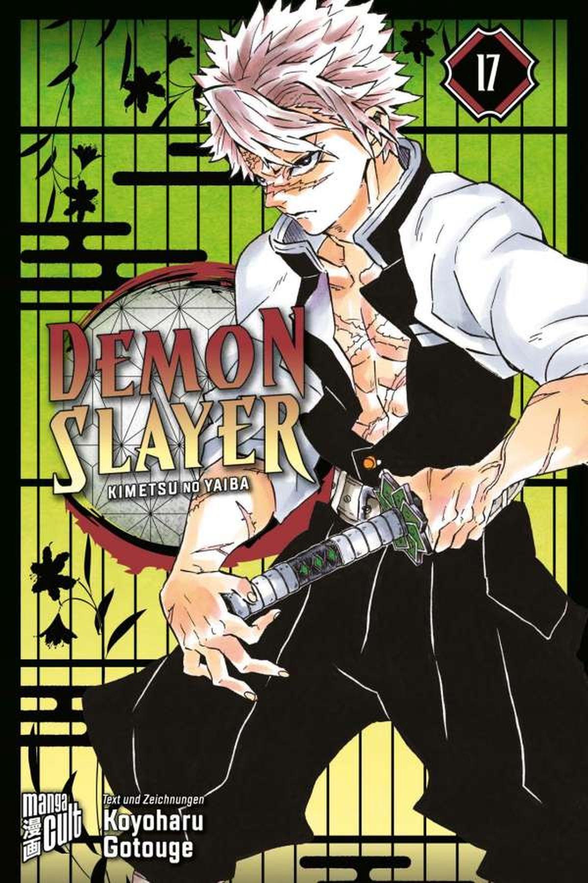 Demon Slayer 17