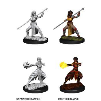 D&D Nolzur's Marvelous Miniatures - Female Half-Elf Monk D&D Nolzur's Marvelous Miniatures - Female Half-Elf Monk