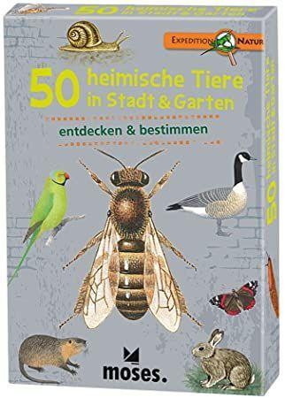 Expedition Natur  50 heimische Tiere in Stadt und Garten